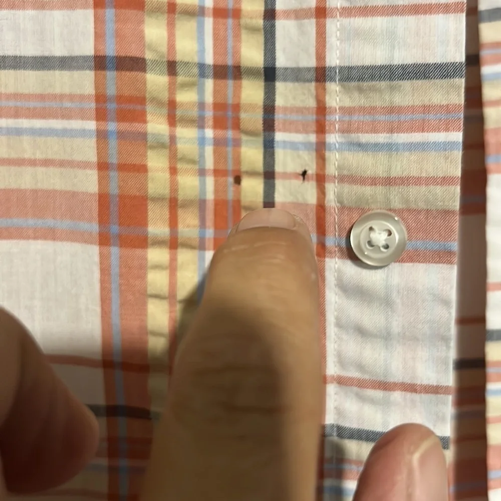 Great Button Down - Picture 4 of 4